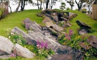 Rock Garden