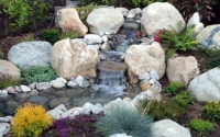 Water Garden